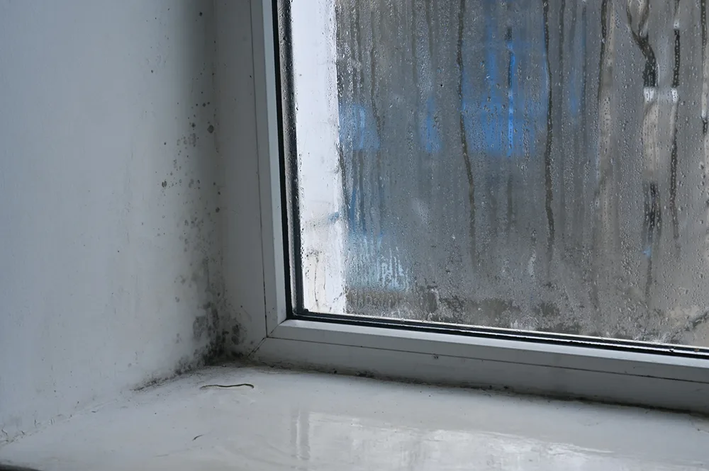 Repairing a Fogged Window in Leatherhead